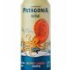 Patagonia austral blond lager 470cc